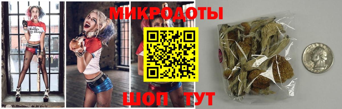 Тольятти  Галлюциногенные грибы прущие грибы  Вход с VPN 